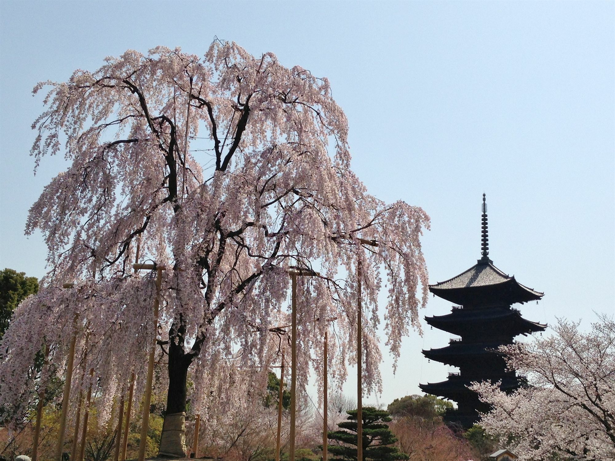 Hotel Livemax Kyoto Gojo Zewnętrze zdjęcie